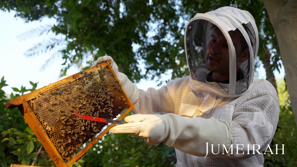 Jumeirah Eco Experiences sustainability film at Madinat Jumeirah